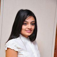 Nikita Narayan at It's My Love Story Movie Preemeet - Pictures | Picture 116721